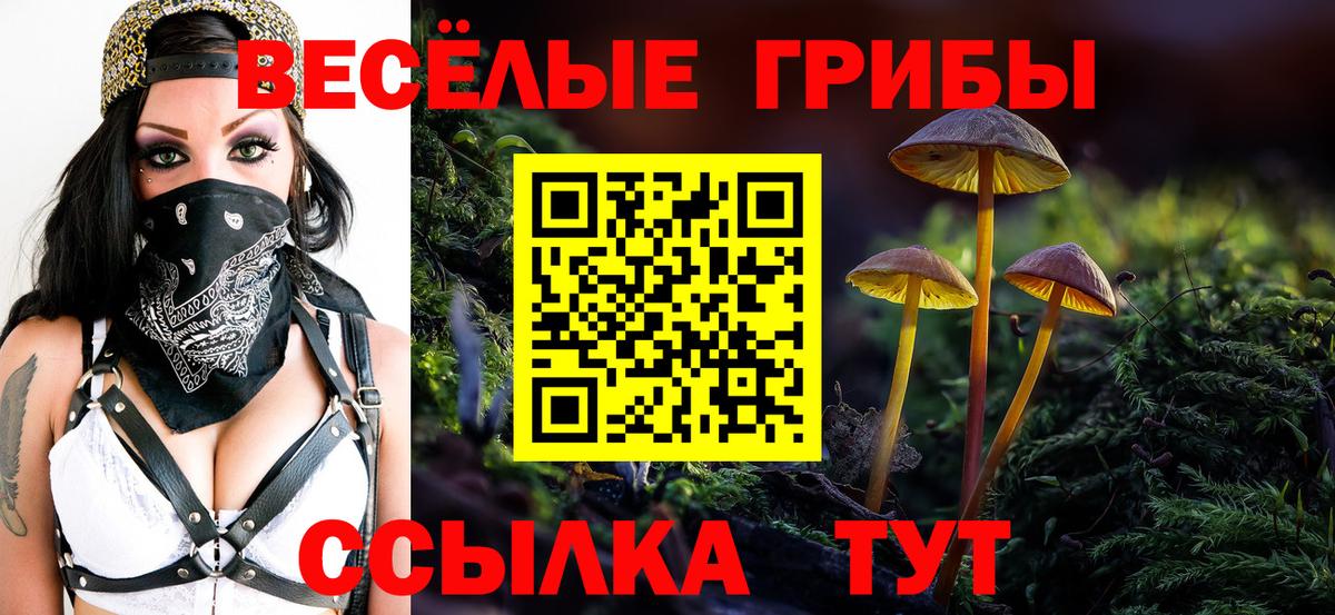 Галлюциногенные грибы Magic Shrooms  Вход с VPN  Лесной 